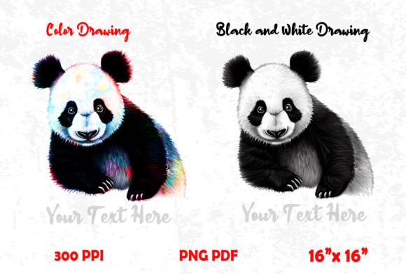 Download Panda Color Drawing - Drawing Collection